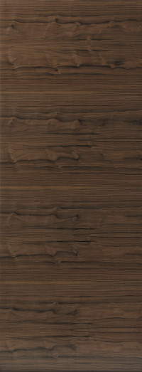 Fernor Walnut Flush FD30 Door image